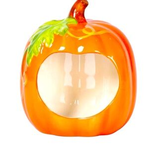 Temp-Tations by Tara Boofetti Halloween-Fall Pumpkin Sponge holder.